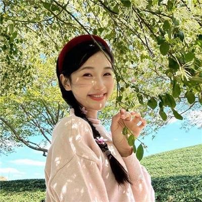 绘图师的合约